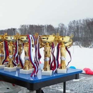 Diploma in Transportation and Logistics for Sports Events