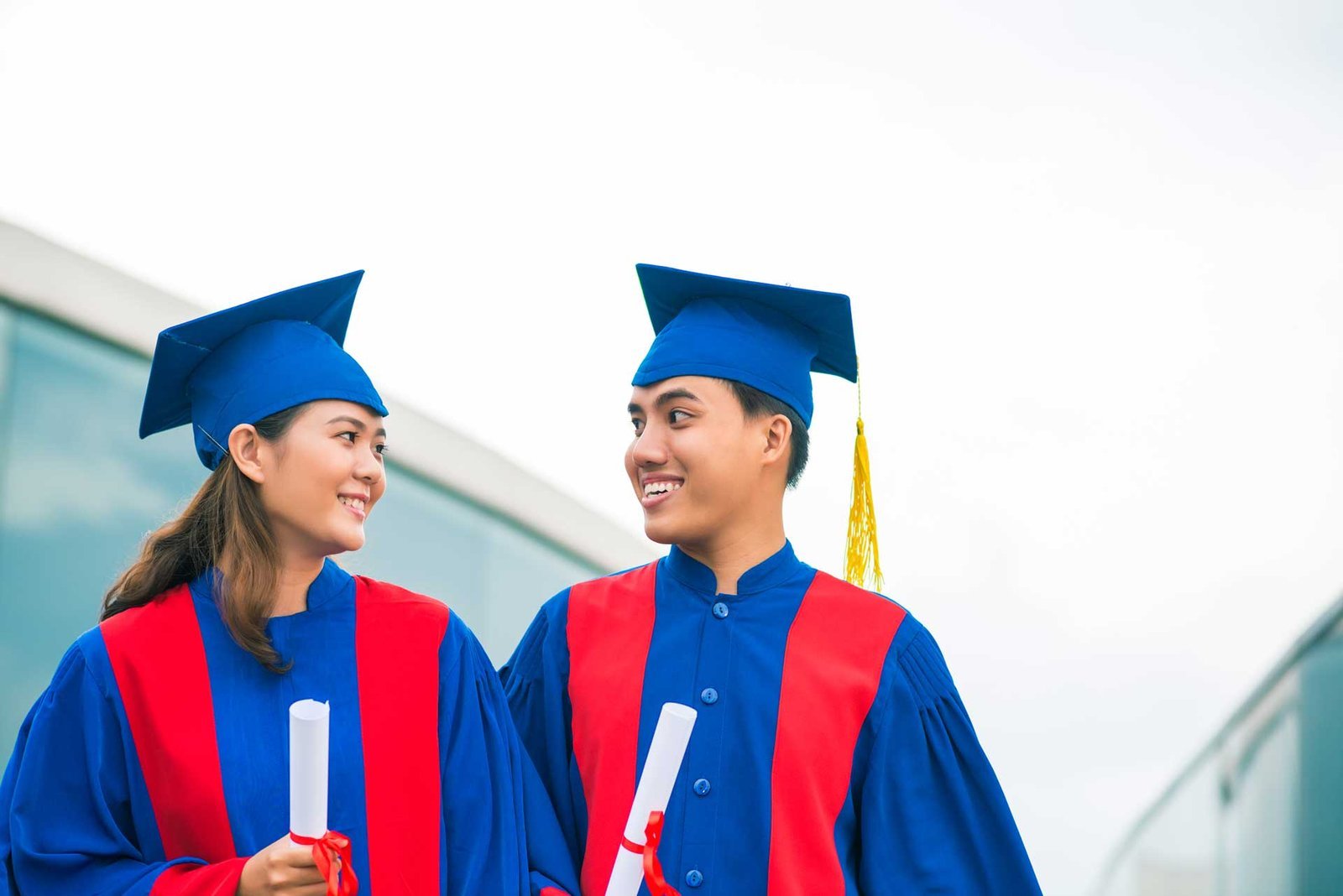 Diploma in Crowd Flow Modelling and Simulation